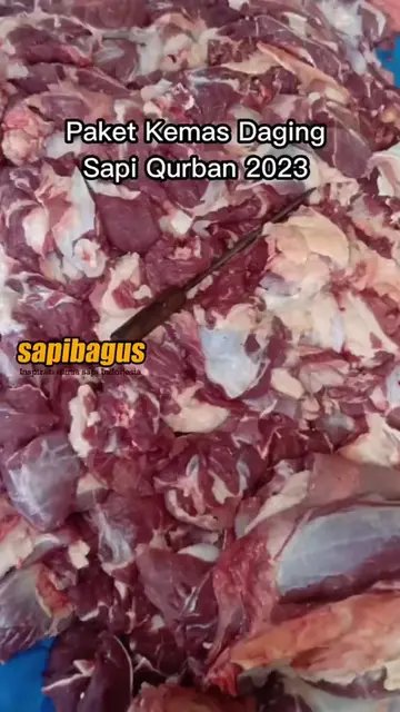 Paket-Kemas-Daging-Sapi-Qurban-2023